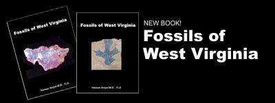 Fossils of West Virginia